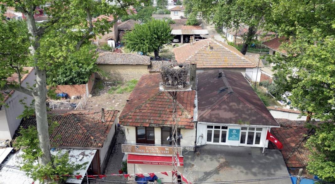 Tekirdağ'ın maskotu 'Gelendost' kamera ile izlenecek - Resim: 5